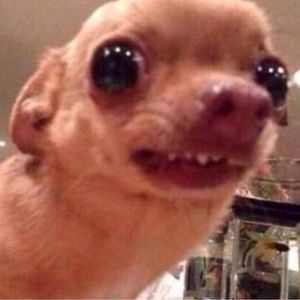 Meet your Posher, Sydney